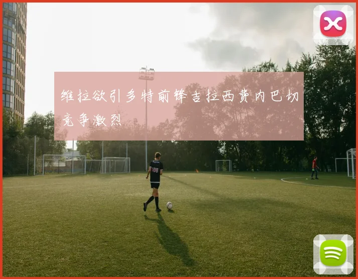 维拉欲引多特前锋吉拉西费内巴切竞争激烈